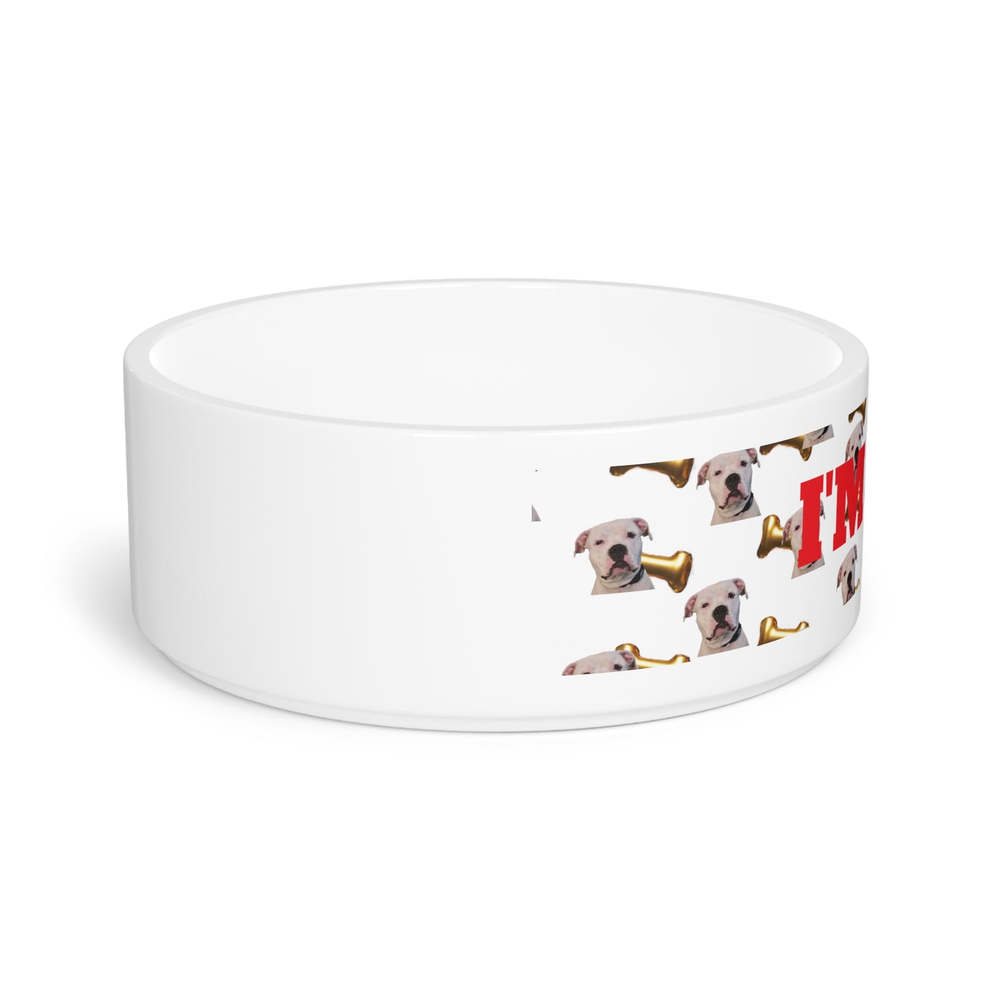 THE CAPONE PET BOWL